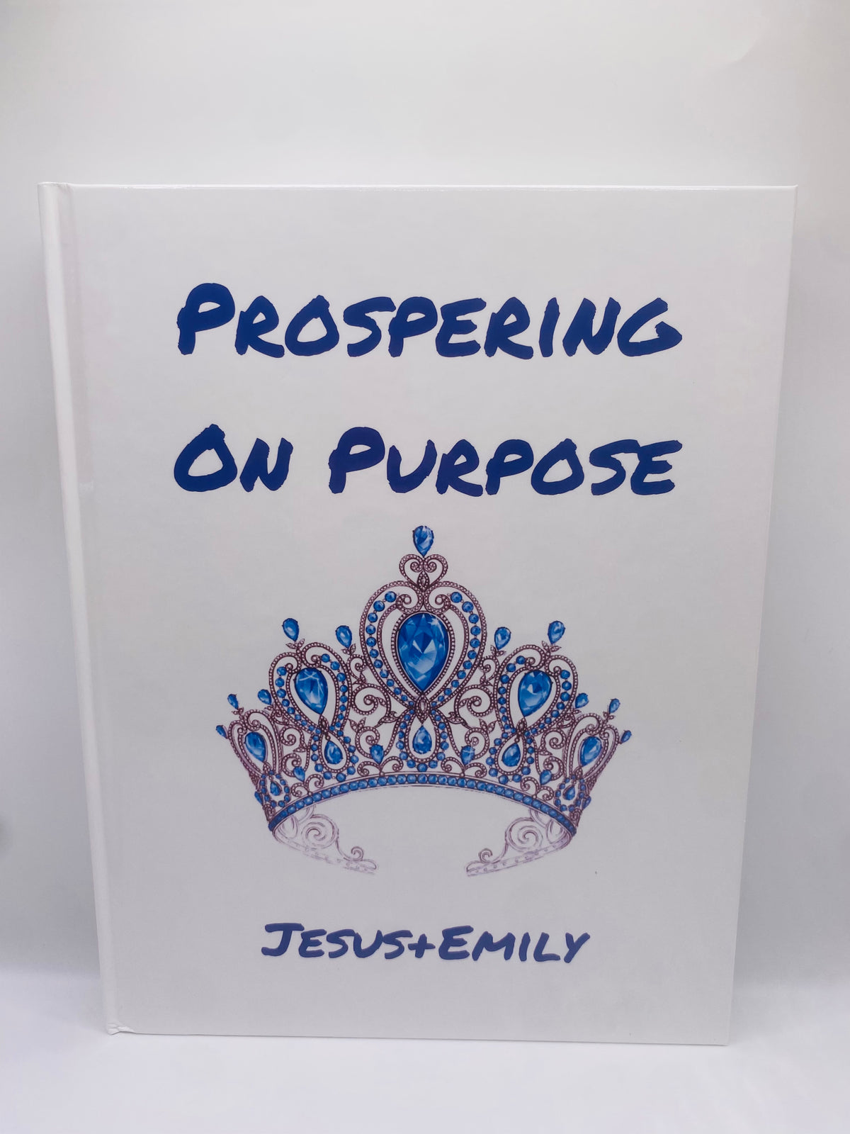 Prospering On Purpose- Hardcover Book