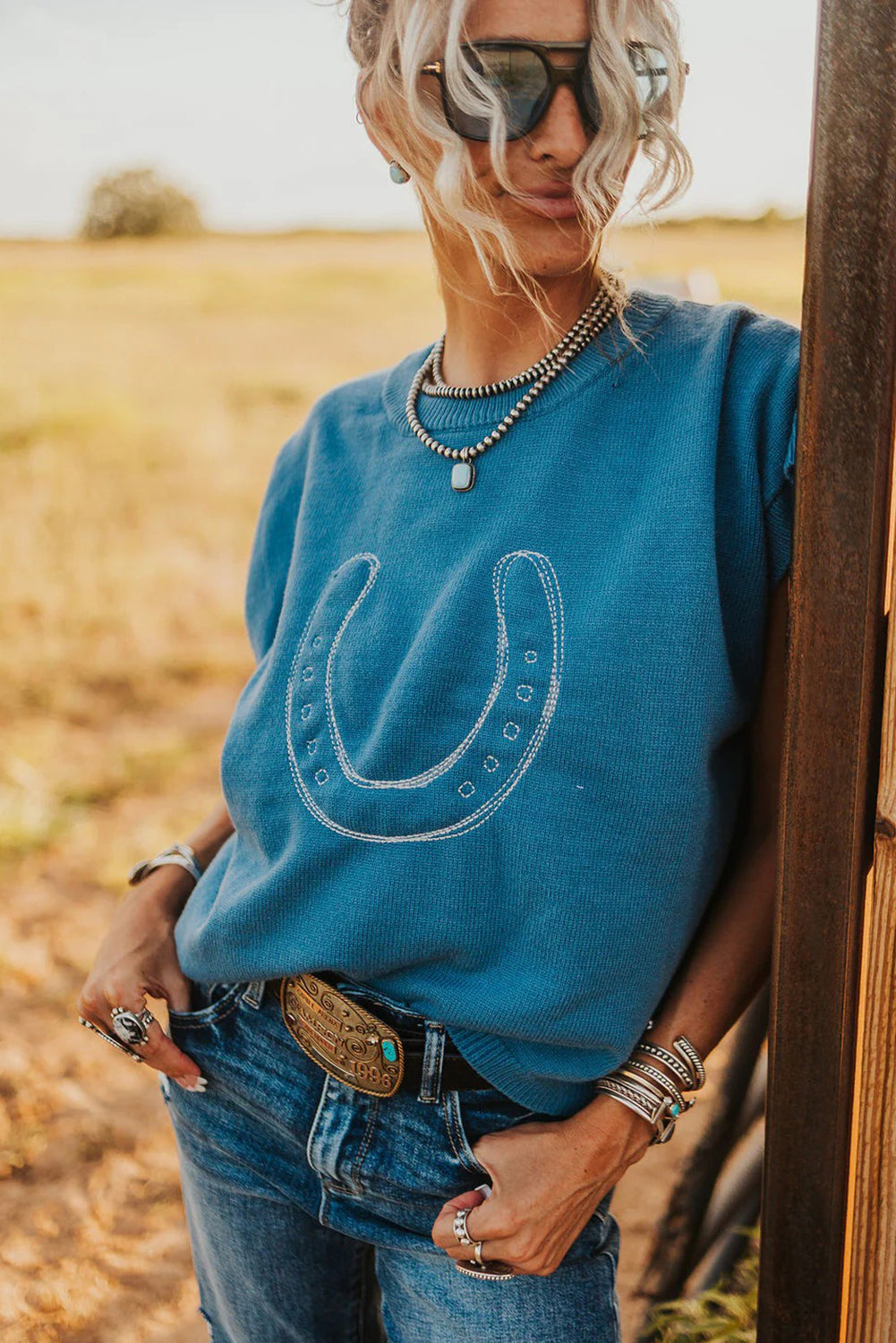 Light Blue Horse Shoe Embroidered Loose Short Sleeve Sweater